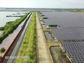 ABC三區圍堤植栽綠化完成(照片以B區為代表)